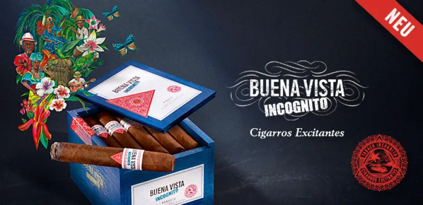 Buena Vista Incognito