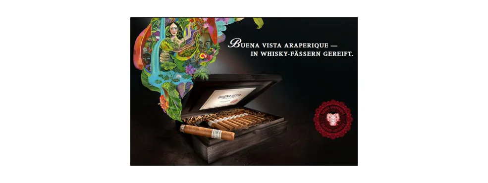 Buena Vista Araperique