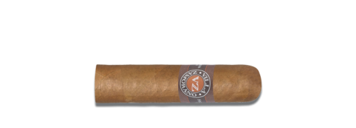 Villa Zamorano Expreso