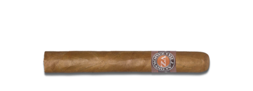 Villa Zamorano Corona