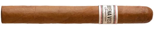 Buena Vista Araperique Churchill