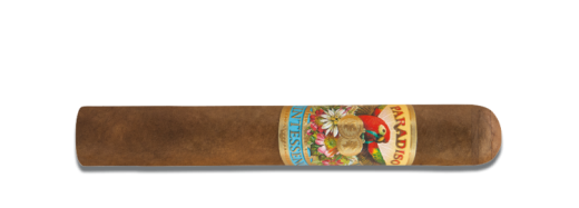 Paradiso Quintessence Robusto