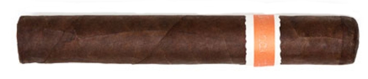 RoMa Craft Neanderthal JCF Corona