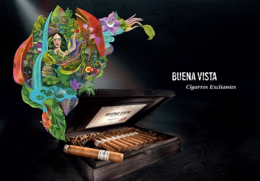 Buena Vista Araperique Petit Corona