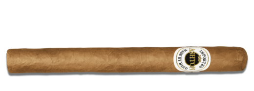 Ashton Classic Churchill