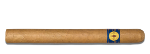 Santa Damiana Churchill