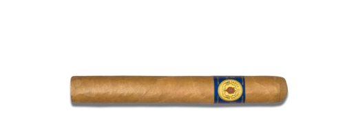Santa Damiana Panetela
