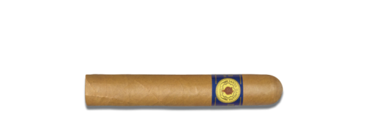 Santa Damiana Perlas