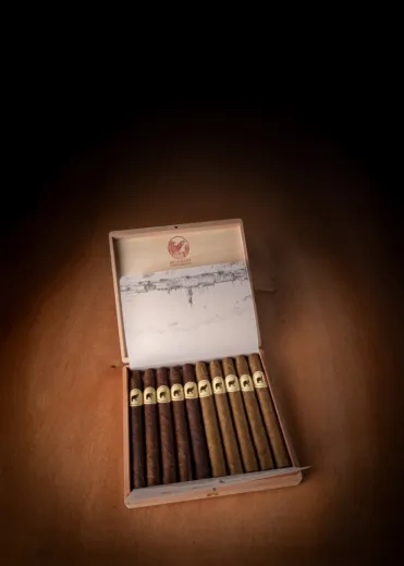 De Olifant Corona Panatella Collection