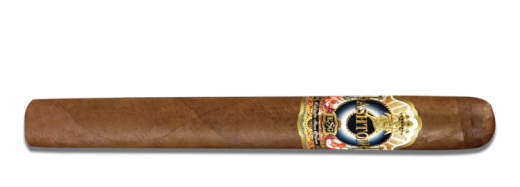 Ashton ESG 20 Year Salute