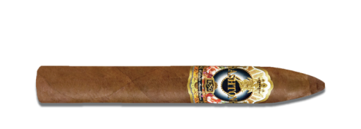 Ashton ESG 22 Year Salute