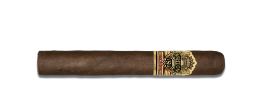 Ashton VSG Robusto