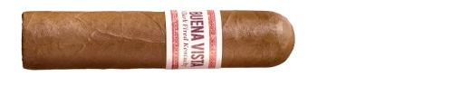 Buena Vista Dark Fired Kentucky Short Robusto
