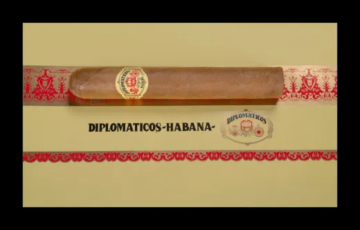 Diplomáticos Canciller