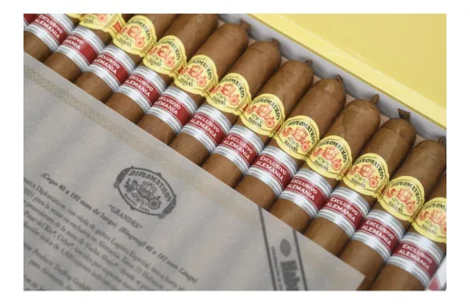 Diplomáticos Grandes Edición Regional