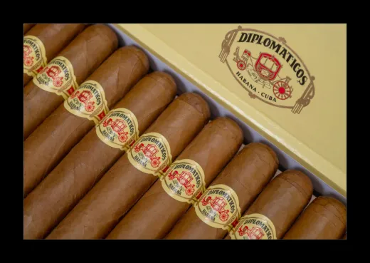 Diplomáticos Canciller