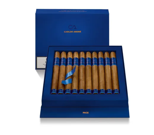 Carlos André Pace Churchill