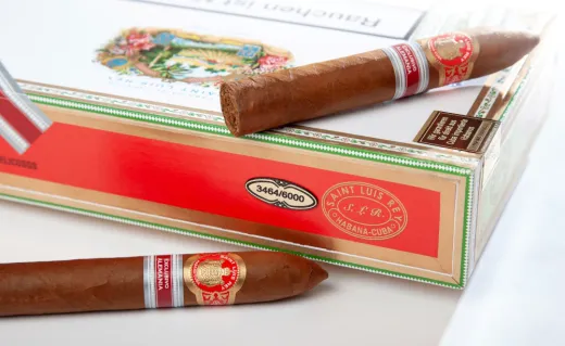 Saint Luis Rey Belicoso Edition Regional 2022
