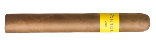 Montosa Amarillo Toro