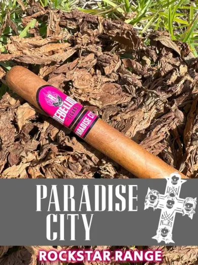 Rebellion Rockstar Range Paradise City Gordo