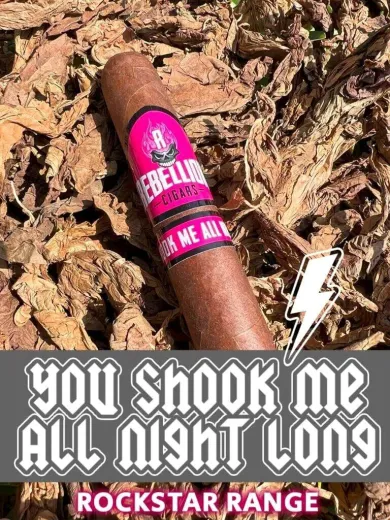 Rebellion Rockstar Range You Shook Me All Night Long Gordo