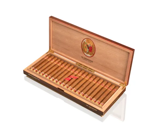 Romeo y Julieta Amantes