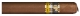 Cohiba Ambar