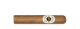 Ashton Classic Magnum