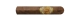 La Aurora 107 Ecuador Robusto