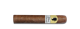 Gilbert Revolution Style Robusto