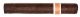 RoMa Craft Neanderthal JCF Corona