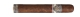 Balmoral Anejo XO Gran Toro