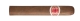 Romeo y Julieta Exhibicion No.4
