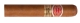 Romeo y Julieta Wide Churchill
