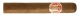 Saint Luis Rey Regios