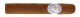 The Griffins Gran Robusto