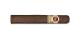 Padron 1964 Anniversary Series Maduro Exclusivo
