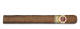 Padron 1964 Anniversary Series Natural Diplomatico