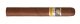 Cohiba Siglo IV