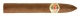 Diplomaticos No.2