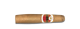 Flor de Copan Gordito