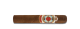 Ashton Symmetry Robusto