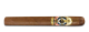 Ashton ESG 20 Year Salute