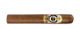 Ashton ESG 23 Year Salute