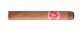 Flor de Cano Petit Corona
