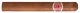 Romeo y Julieta Club Kings