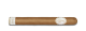 Flor De Selva Fino
