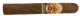 La Aurora 107 Nicaragua Churchill