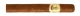 Bolivar Petit Coronas