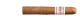 Buena Vista Dark Fired Kentucky Petit Corona